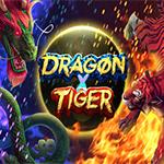 Dragon X Tiger Dragon X Tiger