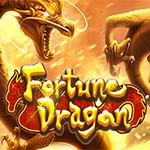 Fortune Dragon Fortune Dragon