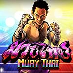 Muay Thai MP Muay Thai MP
