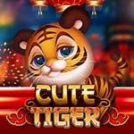 CUTE TIGER MC CUTE TIGER MC