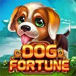 DOG FORTUNE MC DOG FORTUNE MC