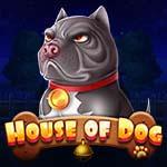 HOUSE OF DOG MC HOUSE OF DOG MC