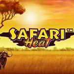 SAFARI HEAT MC SAFARI HEAT MC