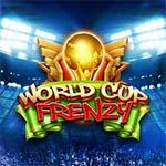WORLD CUP FRENZY MC WORLD CUP FRENZY MC