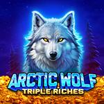 Arctic Wolf Triple Riches Arctic Wolf Triple Riches