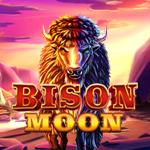 Bison Moon Bison Moon
