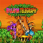 Bush Telegraph Bush Telegraph