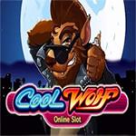 Cool Wolf Cool Wolf