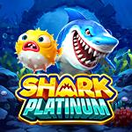 Shark Platinum Shark Platinum