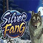 Silver Fang Silver Fang