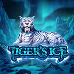 Tiger`s Ice Tiger`s Ice