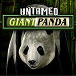 Untamed - Giant Panda Untamed - Giant Panda