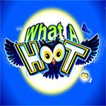What A Hoot What A Hoot