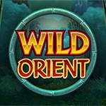 Wild Orient Wild Orient