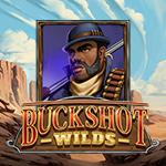 Buckshot Wilds Buckshot Wilds