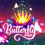 Butterfly Staxx Butterfly Staxx
