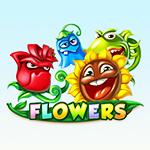 Flowers Flowers
