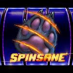 Spinsane Spinsane