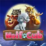 Wolf Cub Wolf Cub