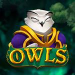 Owls Owls