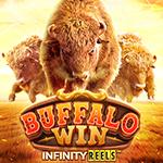 Buffalo Win Buffalo Win