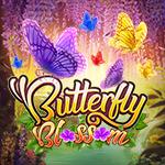 Butterfly Blossom Butterfly Blossom