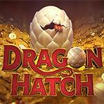 Dragon Hatch Dragon Hatch