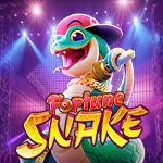 Fortune Snake Fortune Snake