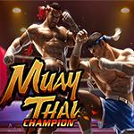 Muay Thai Champion Muay Thai Champion