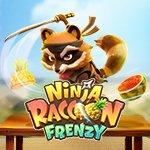 Ninja Raccoon Frenzy Ninja Raccoon Frenzy