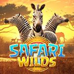 Safari Wilds Safari Wilds