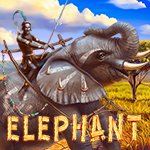 Elephant Elephant