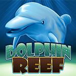 Dolphin Reef Dolphin Reef
