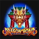 Dragon Bond Dragon Bond