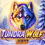 Fire Blaze: Tundra Wolf Fire Blaze: Tundra Wolf