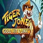 Gold Hit & Link: Tiger Jones Gold Hit & Link: Tiger Jones