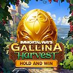 Immortal Ways Gallina Harvest Immortal Ways Gallina Harvest