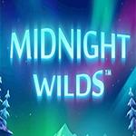 Midnight Wild Midnight Wild