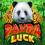 Panda Luck Panda Luck