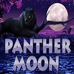Panther Moon Panther Moon