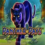 Panther Pays Panther Pays
