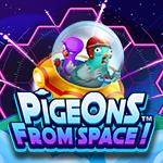 Pigeons From Space! Pigeons From Space!