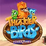 Power Zonesâ„¢: Thunder Birds Power Zonesâ„¢: Thunder Birds