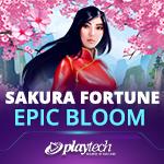 Sakura Fortune Epic Bloom Sakura Fortune Epic Bloom