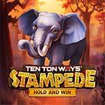 Ten Ton Ways Stampede Ten Ton Ways Stampede