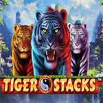 Tiger Stacks Tiger Stacks