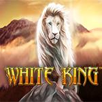 White King White King
