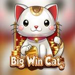 Big Win Cat Big Win Cat
