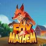 Fox Mayhem Fox Mayhem