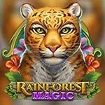 Rainforest Magic Rainforest Magic
